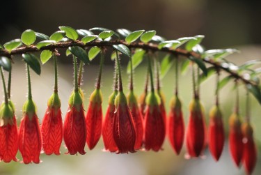 珠海香洲区8私人快速借钱网，轻松解决资金难题