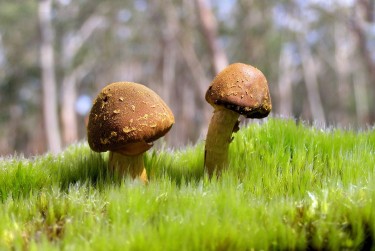 珠海香洲区8私人老板放款：轻松融资的秘密通道